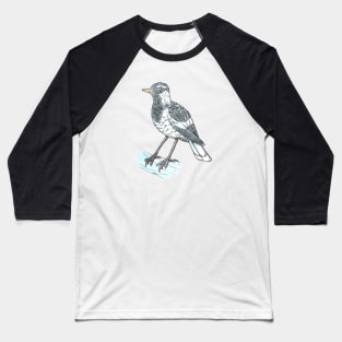 Magpie-lark Baseball T-Shirt